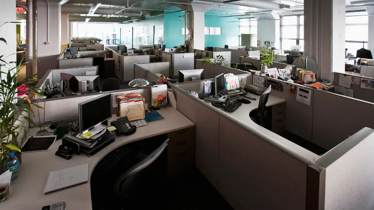 Modern Chicago office featuring leased office cubicles, office desks, and new office furniture in a professional workspace.