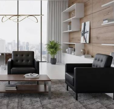 Lounge Chair (New)