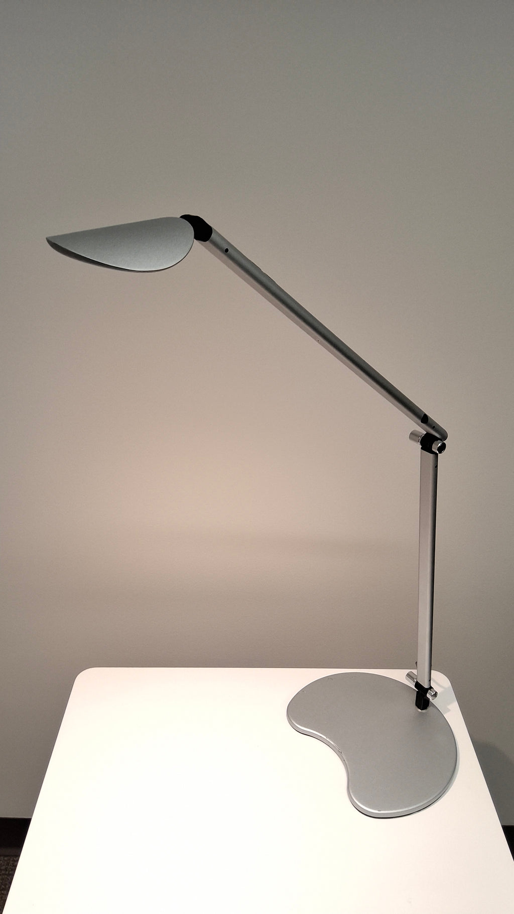 Workrite Ergonomics Desktop  Lamp